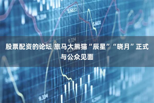 股票配资的论坛 旅马大熊猫“辰星”“晓月”正式与公众见面